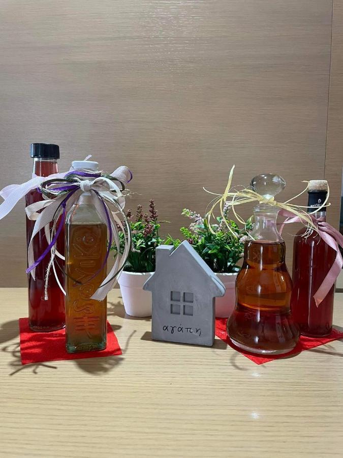 Maria'S Luxury Apartment カッサンドレイア エクステリア 写真